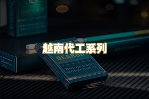 越南代工系列
